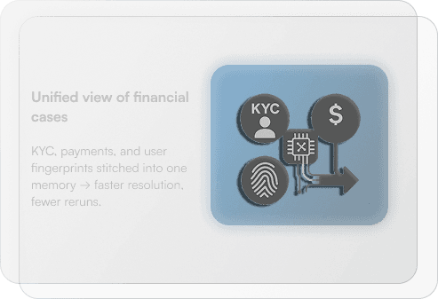 Unified financial case management interface